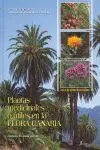 Las Plantas Medicinales o Útiles en la Flora Canaria