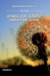 ¿Para qué Sufrir? Sentido del Dolor