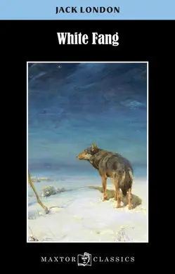 Nd White Fang
