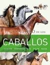 EL GRAN LIBRO DE LOS CABALLOS. CUIDADO/COMPORT./SALUD/RAZAS