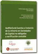 Auditoria de Cuentas a Instancia de la Minoria en Sociedades de Capital