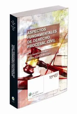 Aspectos Fundamentales de Derecho Procesal Civil 1