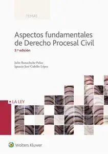 Aspectos Fundamentales de Derecho Procesal Civil (3. ª Edición)