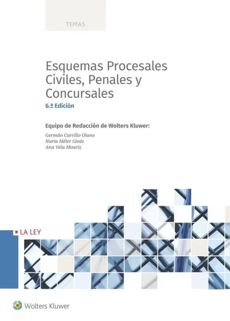 Esquemas Procesales Civiles, Penales y Concursales