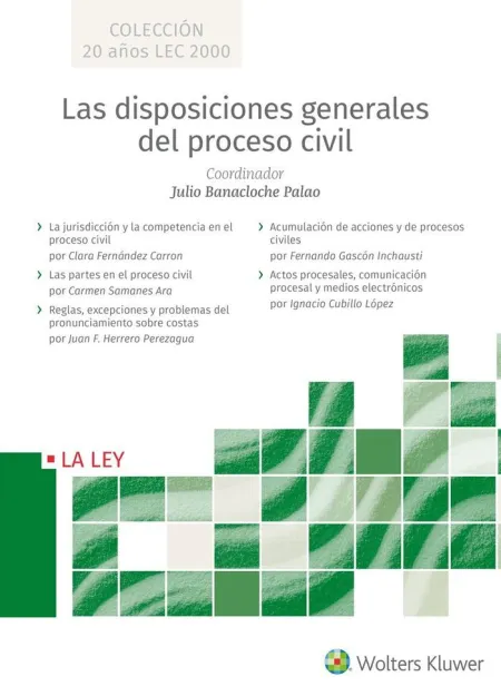 Las Disposiciones Generales en el Proceso Civil, T