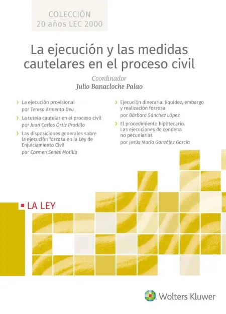 La Ejecución y las Medidas Cautelares en el Proces
