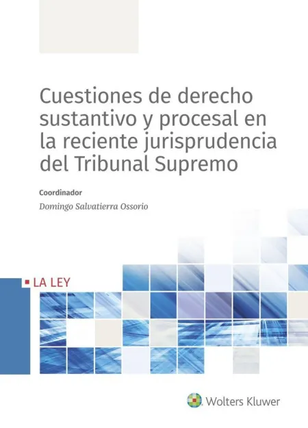 Cuestiones de Derecho Sustantivo y Procesal en la