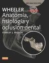 WHEELER. ANATOMÍA, FISIOLOGÍA Y OCLUSIÓN DENTAL (10ª ED.)