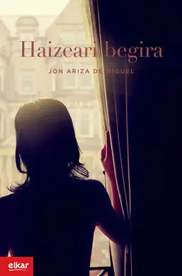 Haizeari Begira