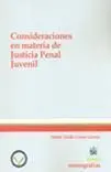 Consideraciones en Materia de Justicia Penal Juvenil