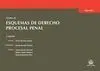 Tomo Iii Esquemas de Derecho Procesal Penal