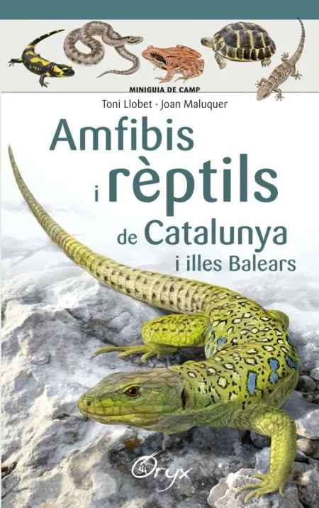 Amfibis I Reptils de Catalunya