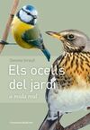 ELS OCELLS DEL JARDI A MIDA NATURAL