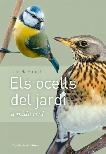 Els Ocells del Jardi a Mida Natural
