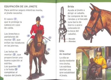 Por Qué, Cómo, Cuándo y Dónde de los Animales