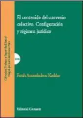 El Contenido del Convenio Colectivo Configuracion y Regimen Juridico