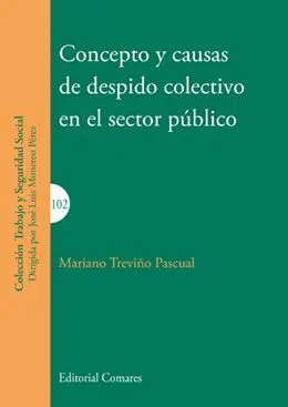 Concepto y Causas de Despido Colectivo en el Sector Publico