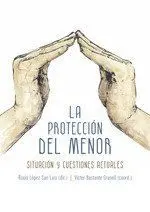 Protección del Menor. Situación y Cuestiones Actua