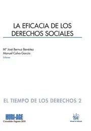 La Eficacia de los Derechos Sociales