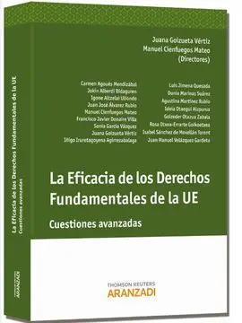 Eficacia de los Derechos Fundamentales de la Ue. Cuestiones Avanzadas.