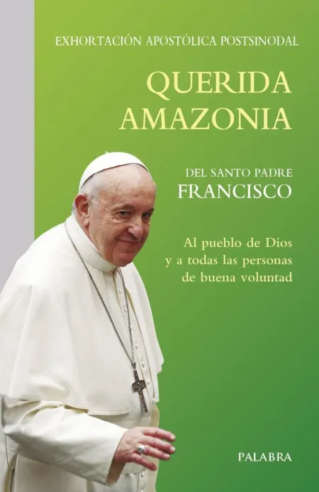 Querida Amazonia