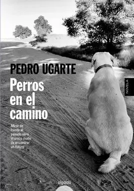 Perros en el Camino