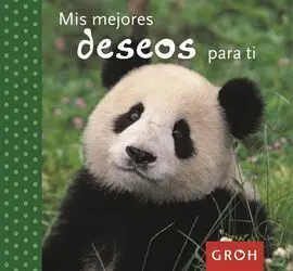 Mis Mejores Deseos para Ti