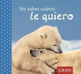 No Sabes Cuánto te Quiero