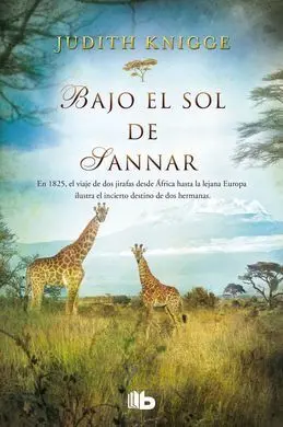 Bajo el Sol de Sannar