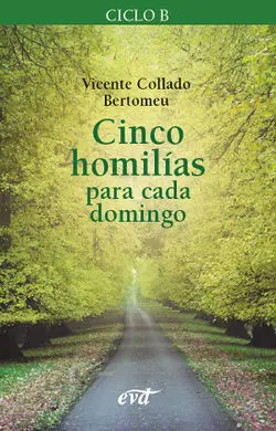 Cinco Homilías para Cada Domingo 2