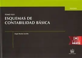 Esquemas de Contabilidad Basica Tomo Xlii