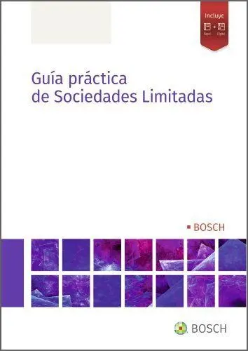 Guía Práctica de Sociedades Limitadas