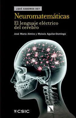 Neuromatematicas