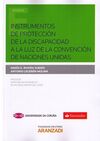 INSTRUMENTOS DE PROTECCIÓN DE LA DISCAPACIDAD A LA LUZ DE LA CONVENCIÓN DE NACIO