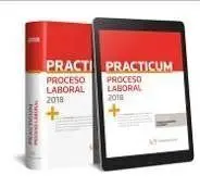Practicum Proceso Laboral 2018