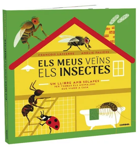 Els Meus Veins Els Insectes