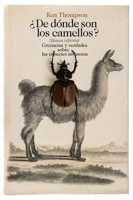¿De Dónde Son los Camellos?