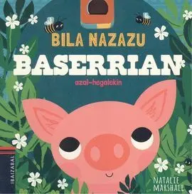Baserrian. Bila Nazazu
