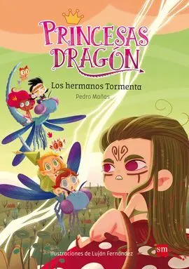 Princesas Dragón. 5: los Hermanos Tormenta