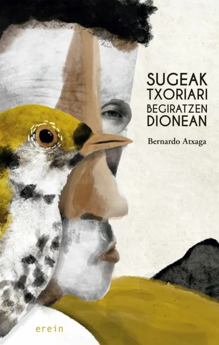 Sugeak Txoriari Begiratzen Dionean
