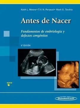 Antes de Nacer