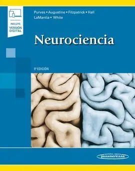 Neurociencia - 5ª Ed Duo