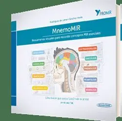 Mnemomir