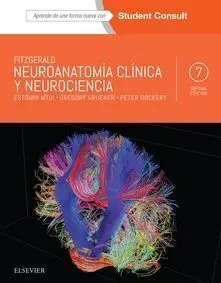 Fitzgerald. Neuroanatomía Clínica y Neurociencia + Studentconsult (7ª Ed. )