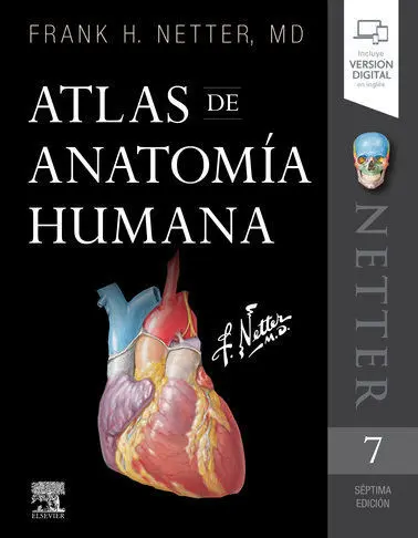 Netter Atlas de Anatomía Humana (7ª Ed. )