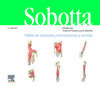 SOBOTTA. TABLAS DE MÚSCULOS, ARTICULACIONES Y NERVIOS (3ª ED.)