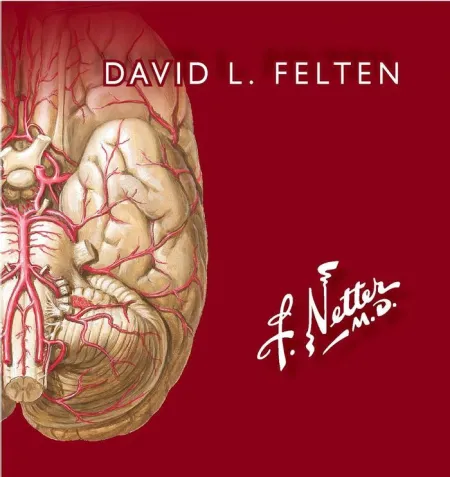 Netter Flashcards de Neurociencia 3º Edi.