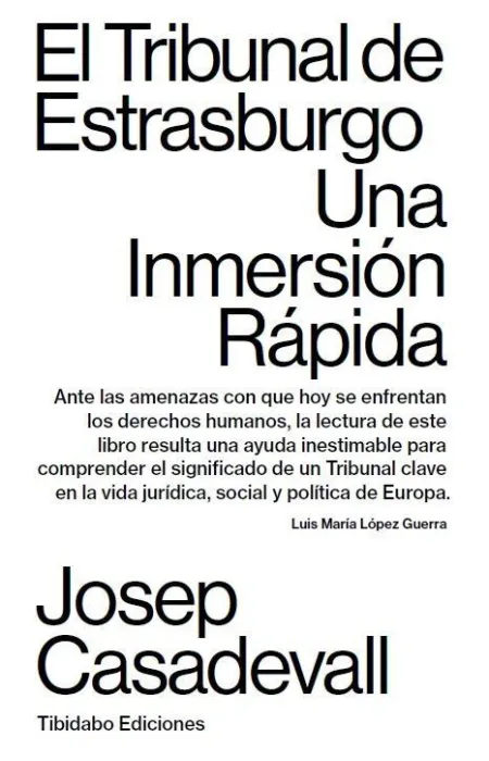 El Tribunal de Estrasburgo. Una Inmersión Rápida