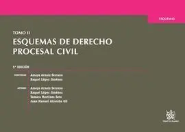 Esquemas de Derecho Procesal Civil: Tomo Ii