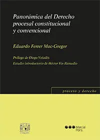 Panoramica del Derecho Procesal Constitucional y Convencional